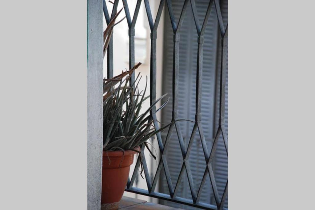 Apartamento Centro Encarnacion 2º I Apartment Seville Exterior photo
